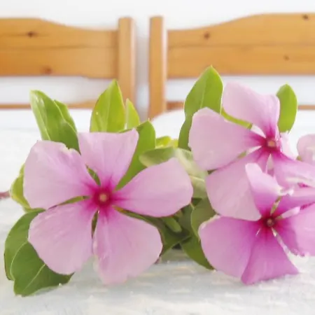 Eftihia Konukevi Palaiochora